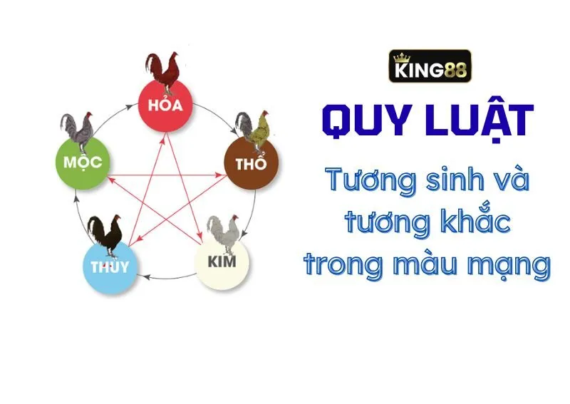 Màu mạng gà đá tuân theo quy luật tương sinh và tương khắc